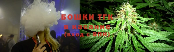 шишки Куйбышев