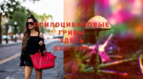 шишки Куйбышев