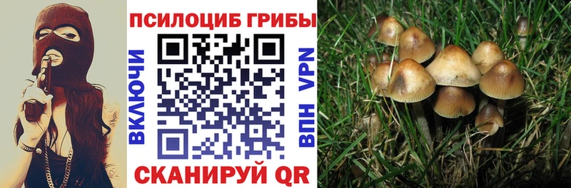Псилоцибиновые грибы GOLDEN TEACHER  Невьянск 